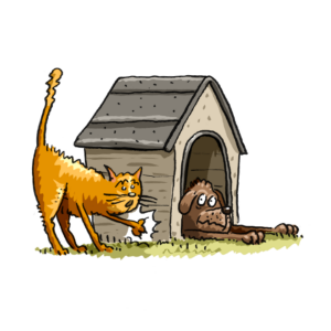 knock-knock animal jokes